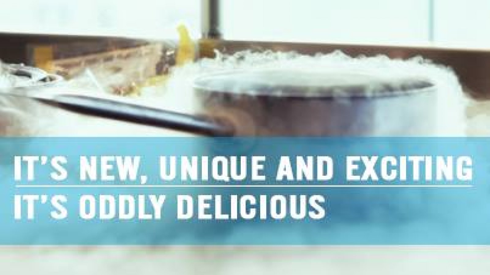 &Samhoud foodlab bleek een grote hoax