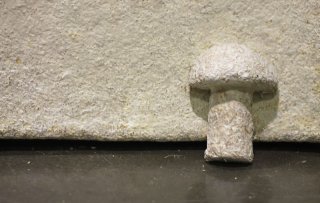Packaging pioneers 