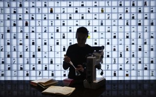 Rasmus Munk van Alchemist** gaat eten produceren van CO₂