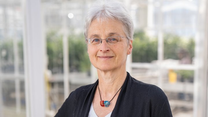 “We hebben al die extra eiwitten helemaal niet nodig, en supplementen ook niet”