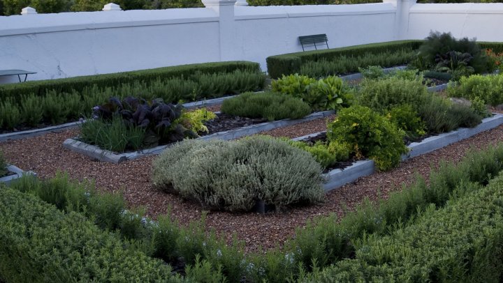 Botanical Dreams, restauranttuinen in Zuid-Afrika