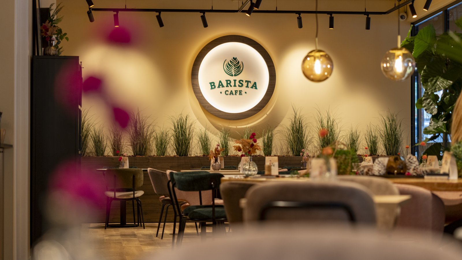 Barista Cafe