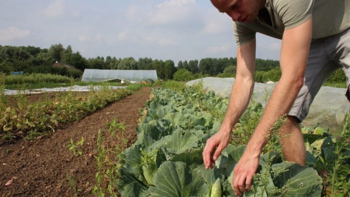 Wordt het niet eens tijd het Hollandse avg'tje te doorbreken?