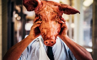 De toekomst van vlees: van kunst tot kweek