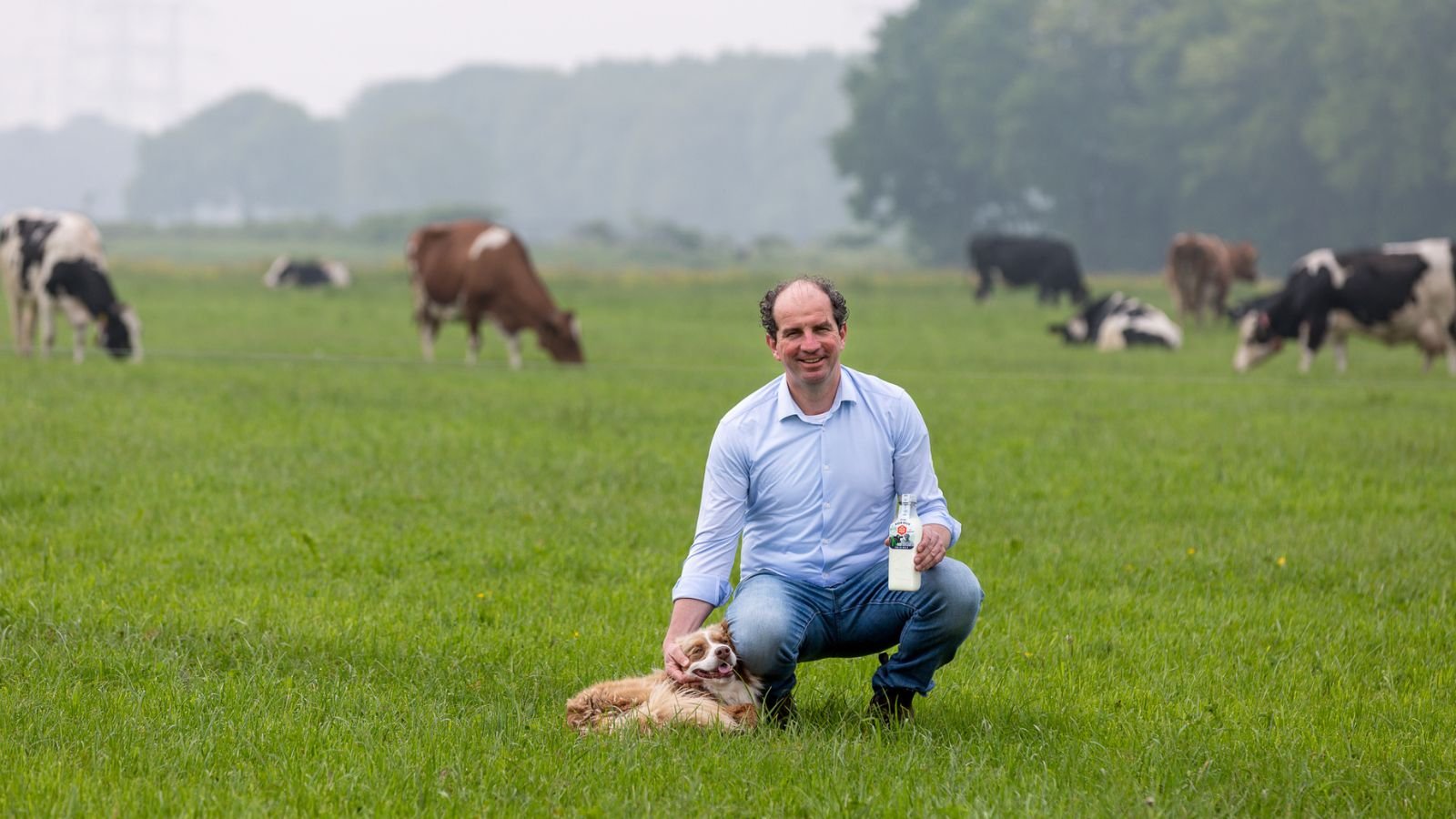 Boer Guus tussen zijn koeien