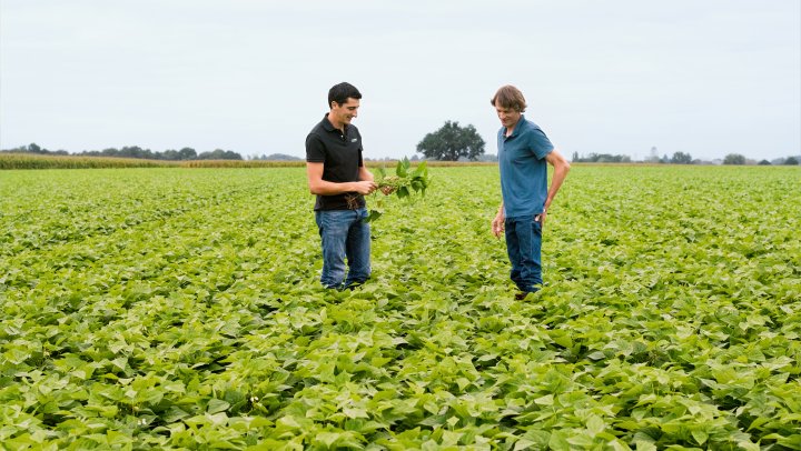 Grote foodproducenten maken stappen naar duurzame toekomst