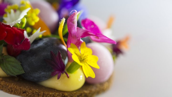 Topgastronomie maakt van Botanic Sanctuary een destination in a destination