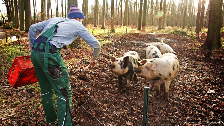 5 veelbelovende agrariërs onder de 30 jaar