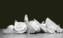 Voedselverspilling en corona: een update
