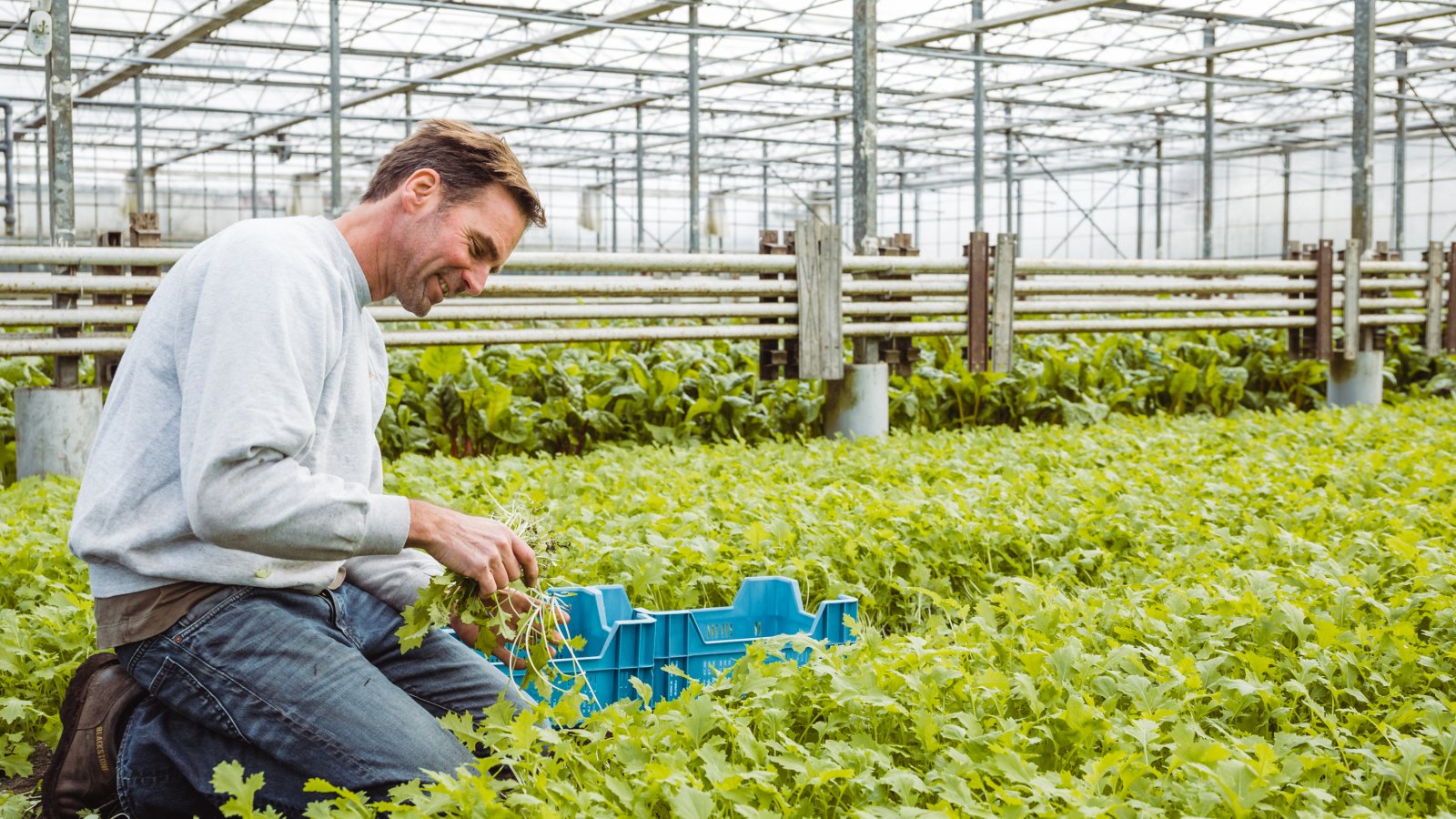 Caring Farmers