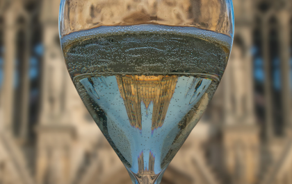 Belangrijkste champagnetrend van het moment: de opkomst van terroir champagnes