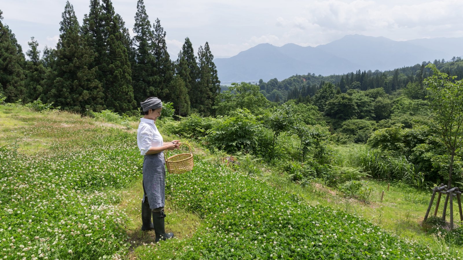 Chef in the mountains