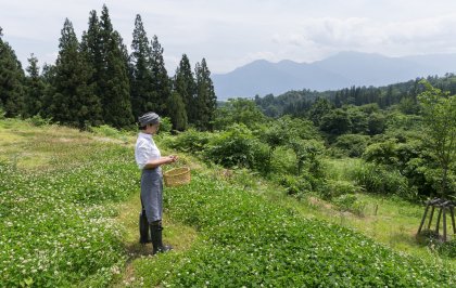 Japanese plant-forward chef Keiko Kuwakino works six to twelve months in advance