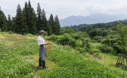 Japanese plant-forward chef Keiko Kuwakino works six to twelve months in advance