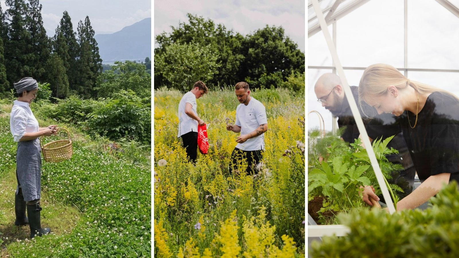 Chefs koken met natuur als leidraad