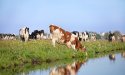 Een korte uitleg over regeneratieve landbouw