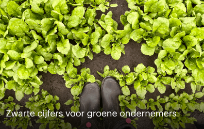 Nieuw magazine: Zwarte cijfers voor groene ondernemers