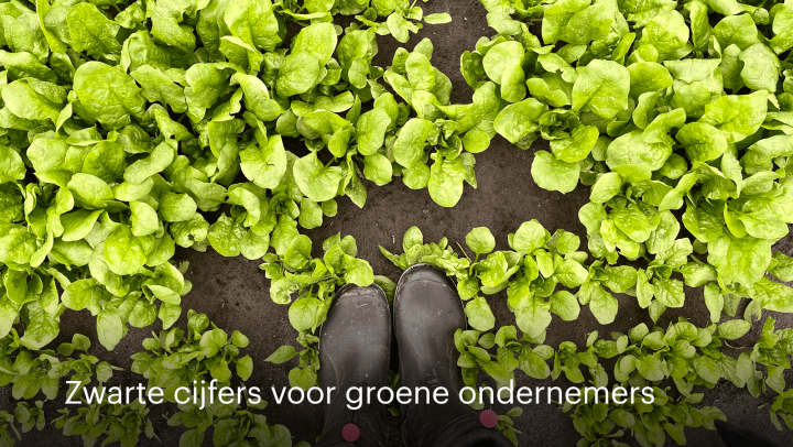 Nieuw magazine: Zwarte cijfers voor groene ondernemers