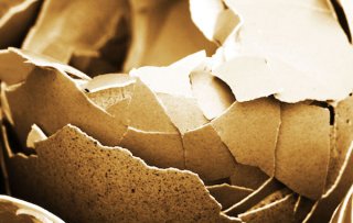 Cracking the food industry