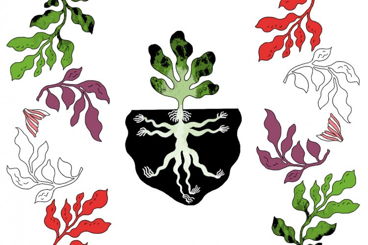 Emile van der Staak** zet de botanische gastronomie stevig op de kaart