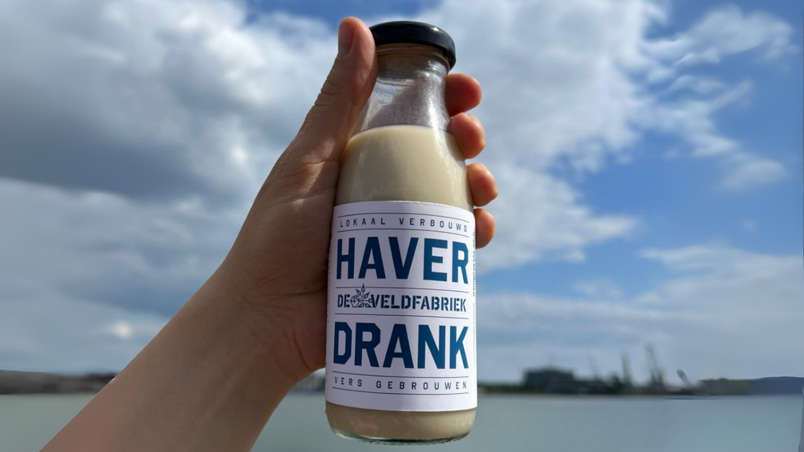 DeVeldfabriek