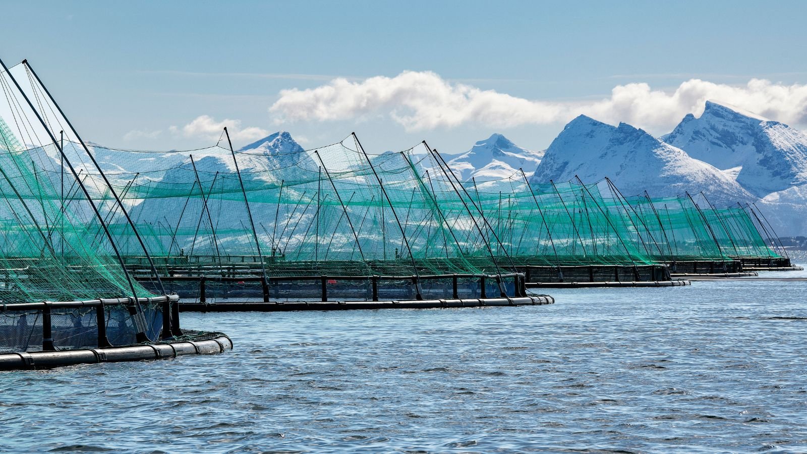 De viswateren van Kvarøy Arctic in Noorwegen