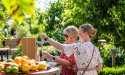 Innovatieve frisdranksystemen voor de event- en cateringindustrie