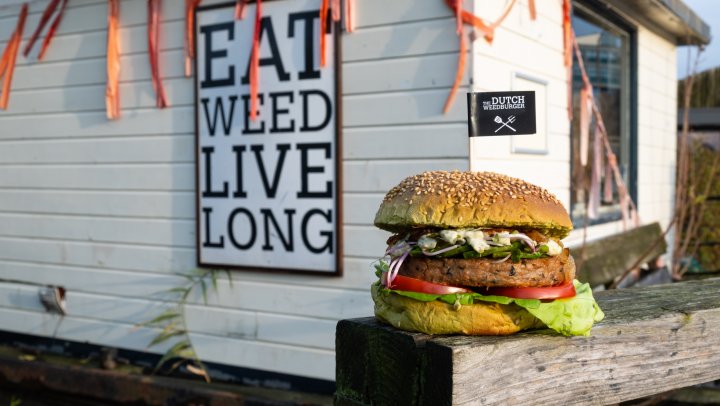 Dutch Weed Burger: van festival culthit naar dé perfect serve