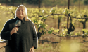 Op bezoek bij Dutcher Crossing Winery in een van Amerika's topwijnregio's