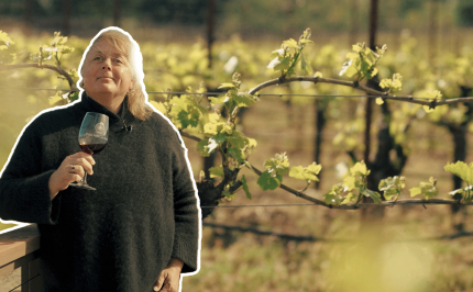 Op bezoek bij Dutcher Crossing Winery in een van Amerika's topwijnregio's