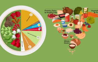 EAT-Lancet scherpt Planetary Health Diet aan, terwijl Trump vlees en zuivel bovenaan zet in nieuwe voedselrichtlijnen
