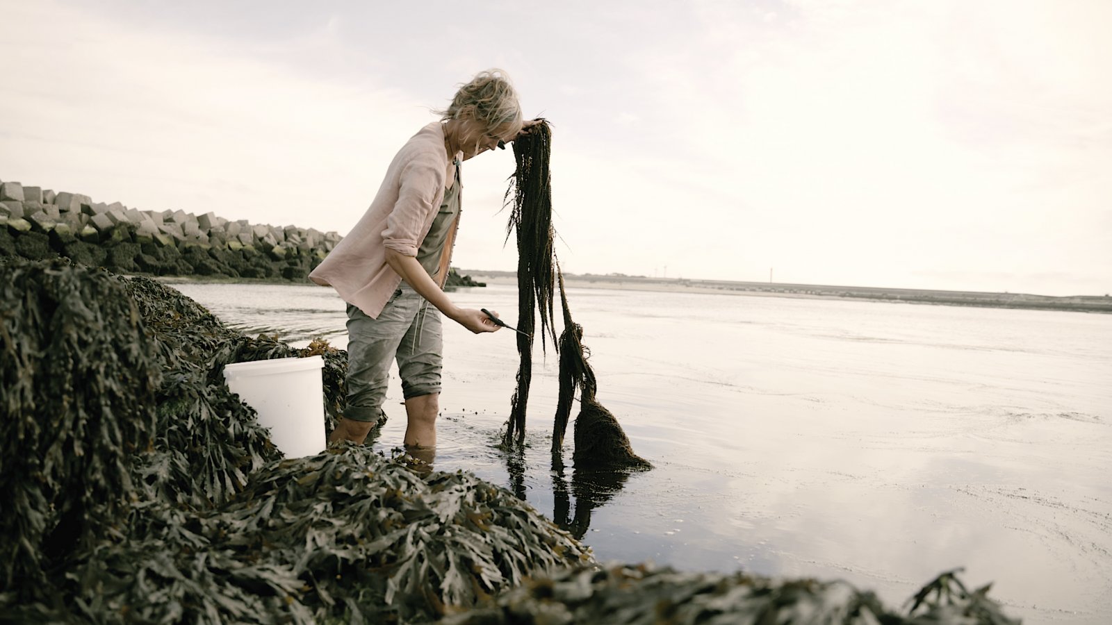 Ellen Schoenmakers, WildWier