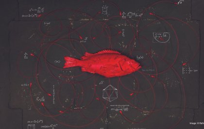 Five sustainable seafood initiatives