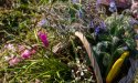 Cooking with flowers 101, according to Spanish chef Iolanda Bustos
