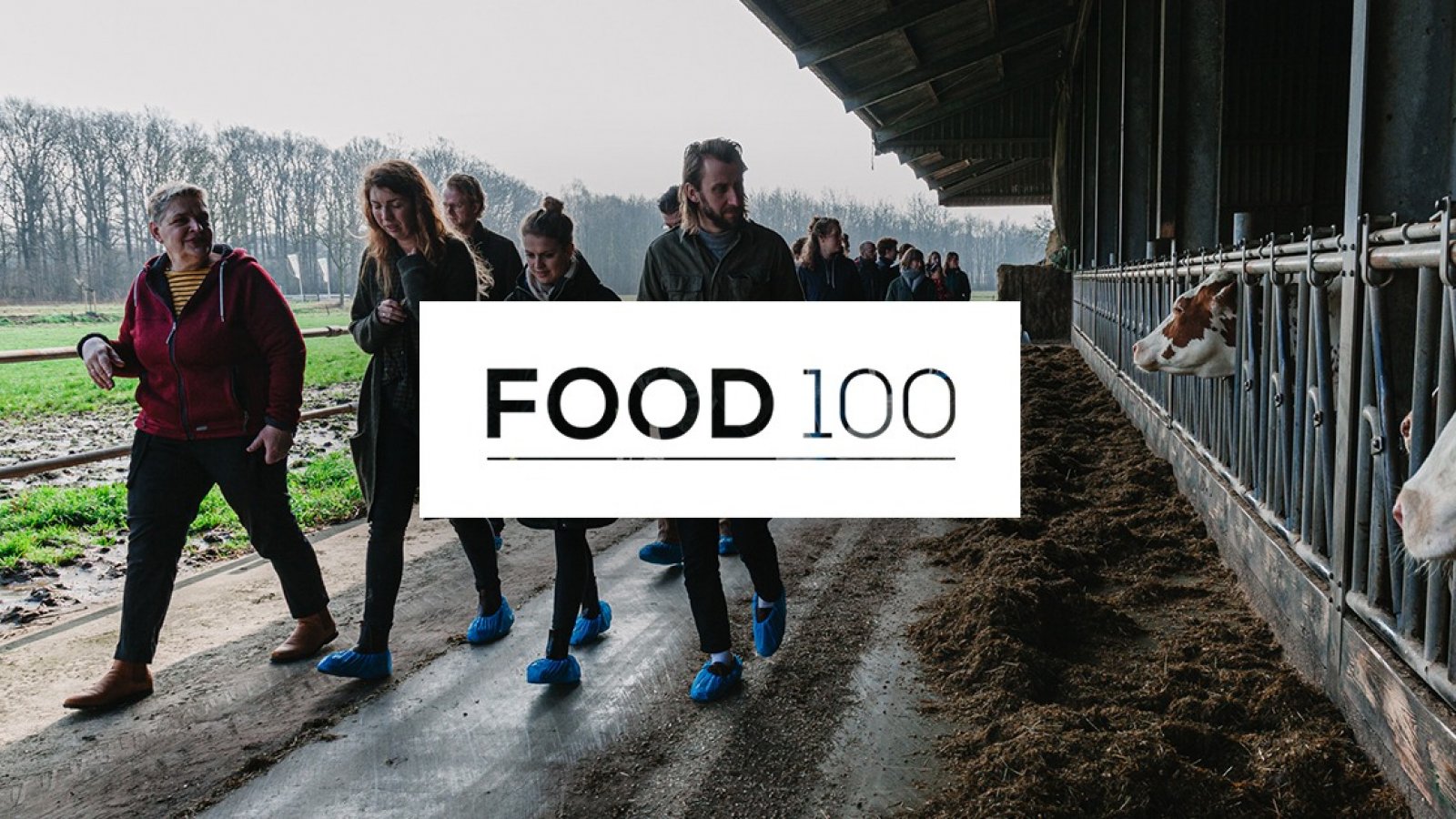 Food100