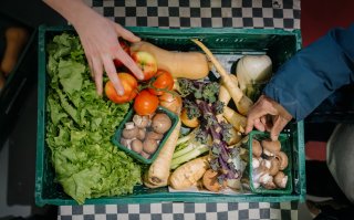 “Gezonde voeding is niet de oplossing voor alles, maar wel voor veel dingen”