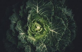 Chefs talk foodtopia