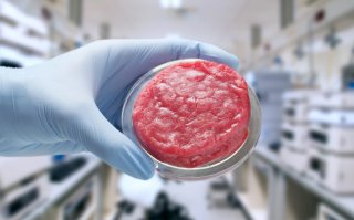 Kweekvlees: slim alternatief voor de bio-industrie of spelen we voor God?