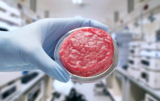 Kweekvlees: slim alternatief voor de bio-industrie of spelen we voor God?