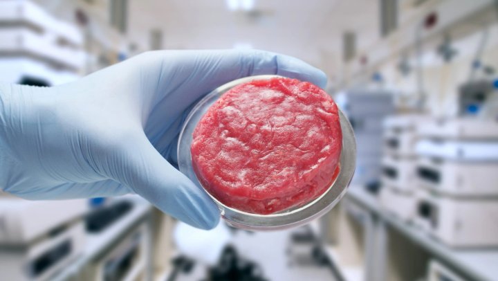 Kweekvlees: slim alternatief voor de bio-industrie of spelen we voor God?