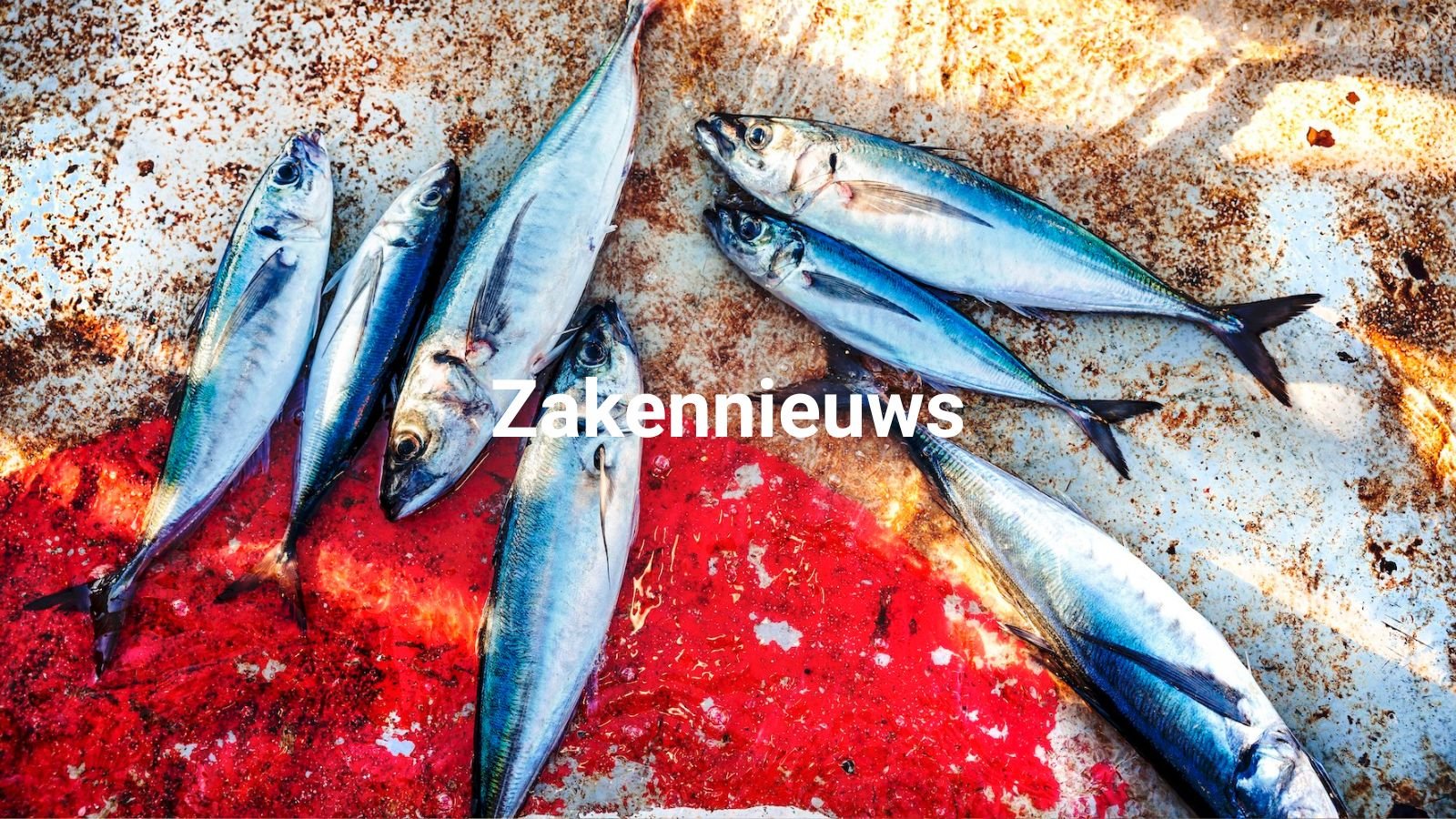 Foto door: Ernie Enkelaar