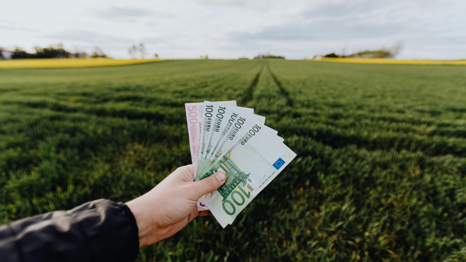 Foto door: Pexels