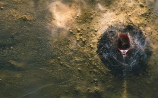 Wijntrends: minder alcohol, rebelse wijnmakers en nieuwe regio’s