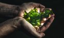 10 internationale zeewier ondernemers