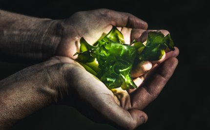 10 internationale zeewier ondernemers
