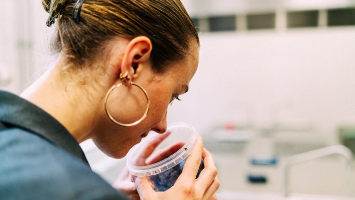 Moromi: van soja-restproduct tot nieuwe smaakmaker