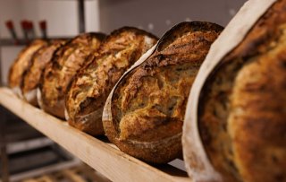 Hoe gaat het met de zuurdesembakker?