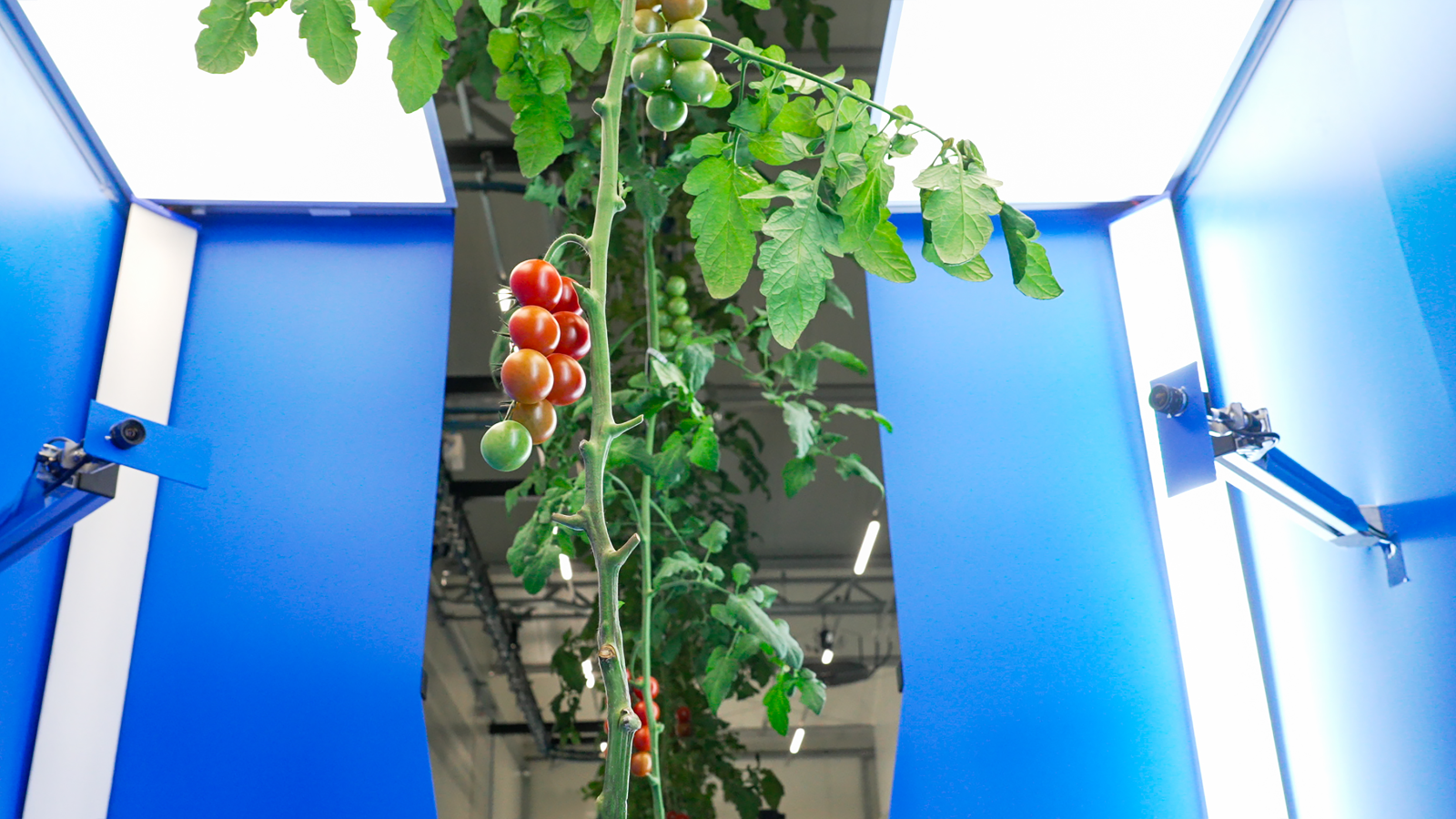 Foto's door: SAIA Agrobotics