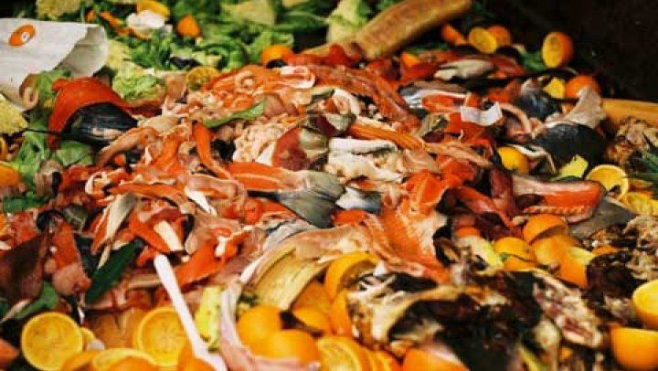 Blog: Was 2014 het jaar tegen food waste?