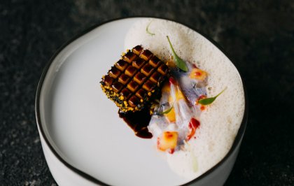 New magazine: Gastrophysics